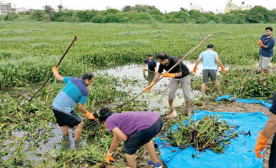 Cleaning a lake is a hands-on job