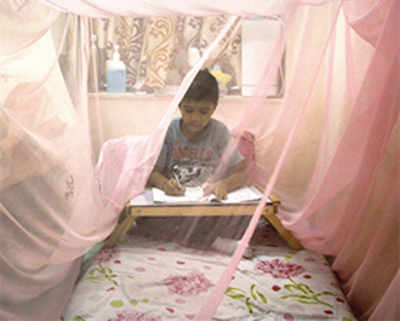 Dengue scare: Juhu soc turns into net prison
