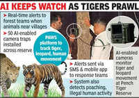 Pench staff roll out AI tool to monitor wildlife, prevent man-animal conflict