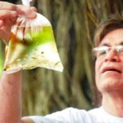 Guppies to combat malaria