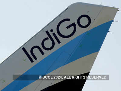 Delhi-bound IndiGo flight forced to turn back to Mumbai after bird hit