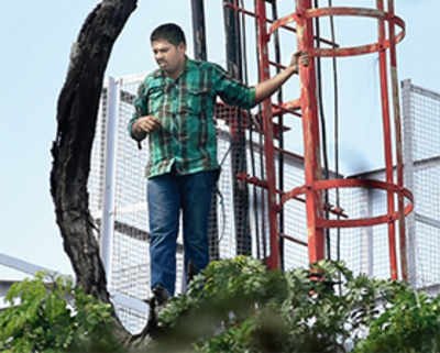 Farmer climbs tower, stages 4-hr protest
