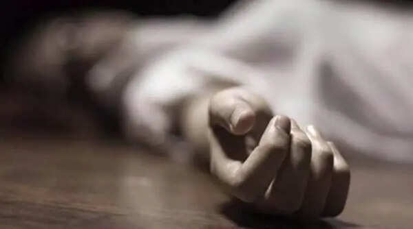 Two die of heat-related incidents in north Andhra Pradesh; showers ease scorching heat in parts of state
