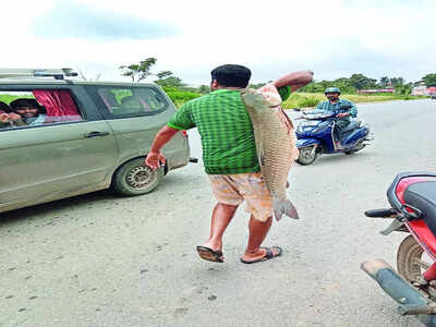 Heavy rains fill up Bengaluru lakes