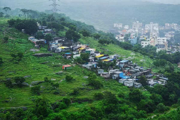 State govt forms committee to review hilltop-hill slope zone and biodiversity park proposals