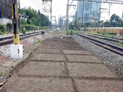 Bed of roses to tackle the problem of filth along railway tracks