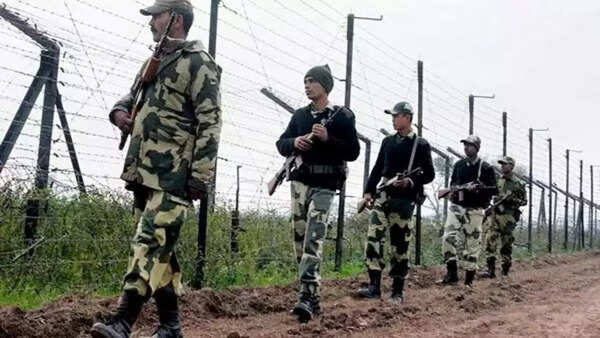 2 'smugglers' killed by BSF on Bangladesh border