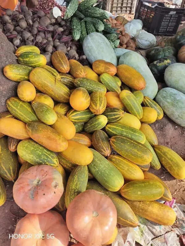 Gulf war disrupts Vishu-time veggie export from Palakkad