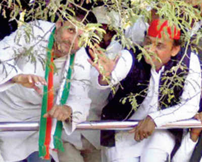 SP doubts if pact with Cong is really helping