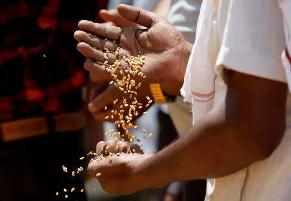 Lack of rains hits crops in Chhattisgarh