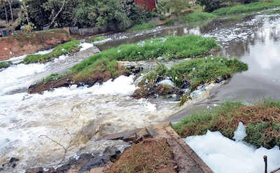 At Varthur lake, breach over troubled waters once more