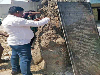 Tree census begins in south Bengaluru