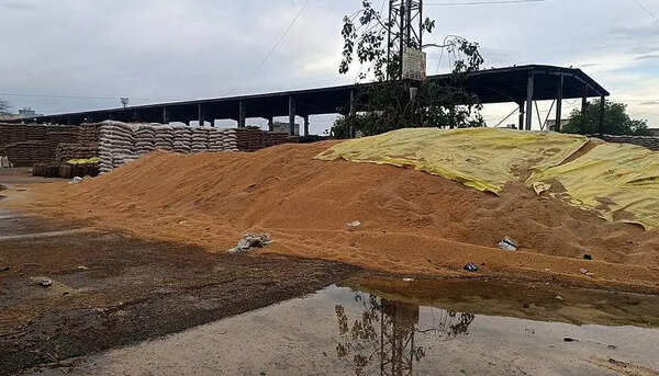 Rain exposes wheat at Kharkhoda mandi, delays in lifting draw flak