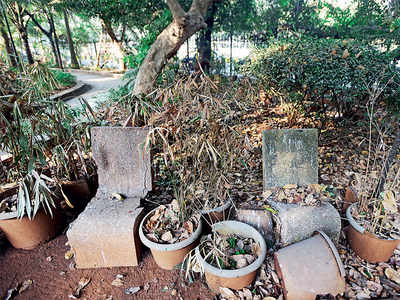 Plants wilt, garbage piles up at 250 BMC gardens