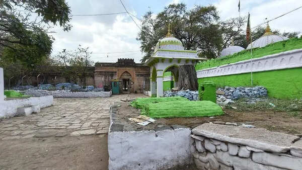 Bhojshala case: Intervener claims direct descendance