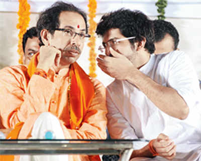 Power not at the cost of self-respect: Sena