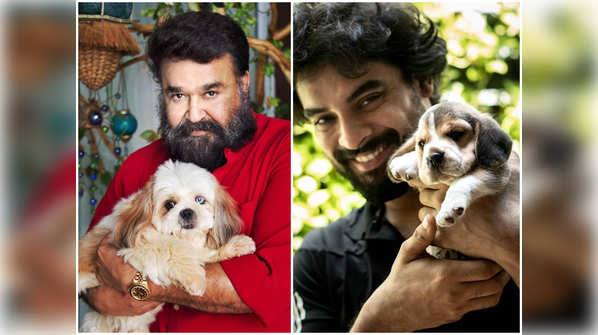 ​From Mohanlal’s Bailey to Tovino Thomas’ Pablo, meet the furry friends of M-Town actors