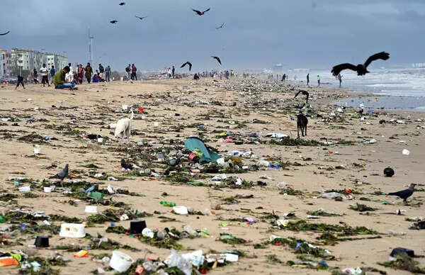 Cyclone Fengal crosses Tamil Nadu coast but leaves tonnes of garbage behind
