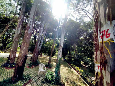 120 trees at National Military Memorial will make way for MiG plane