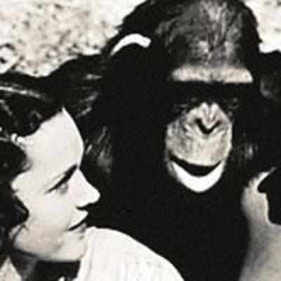 Hollywood chimp to '˜write' memoirs