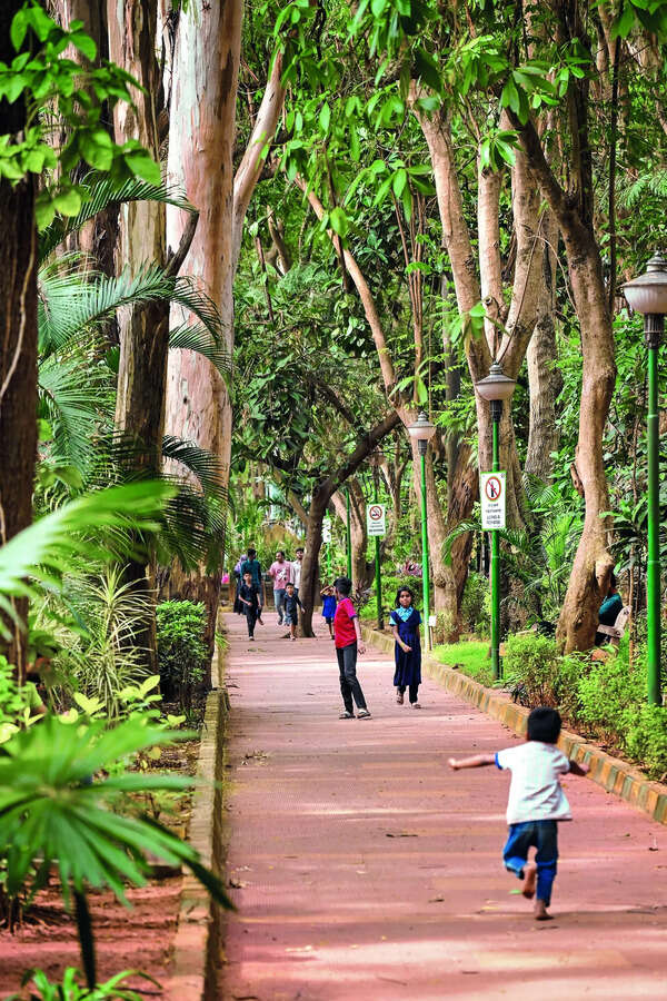 Discover Bengaluru’s green escapes on the International Day of Forests