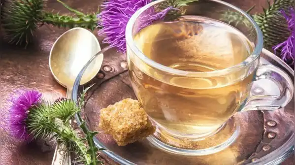 Milk Thistle Tea (Silybum marianum)
