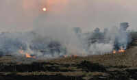 No subsidies, financial assistance if farmers found burning crop residue
