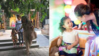 Shahid Kapoor's daughter Misha Kapoor turns 3, three generations of women including Mira Rajput come together to make for a perfect picture 
