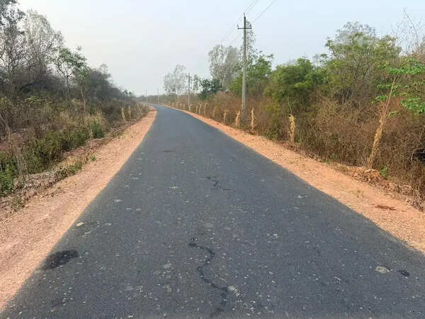 Roadside plantation: Rs 2 crore fund misuse alleged in Haveri