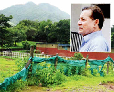 Green ministry pushes Salim Khan’s ‘illegal’ farmhouse out of the woods