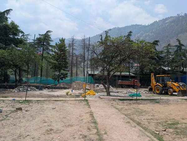 Halt any construction activity inside Nehru Park: NGT to Kullu administration