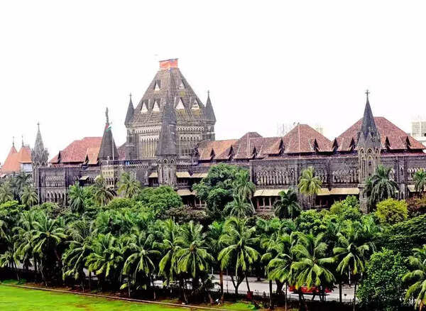 Porsche Case: HC rejects bail pleas of teen’s father, 2 suspended Sassoon doctors & five others