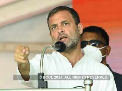 Rahul Gandhi attacks Centre over bodies buried in sands on Ganga banks