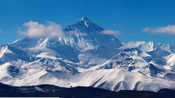 Everest wasn’t always a mountain! These 200 million-year-old marine fossils prove the Himalaya was once underwater