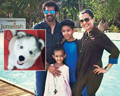 Kabir Khan and Mini Mathur's puppy love