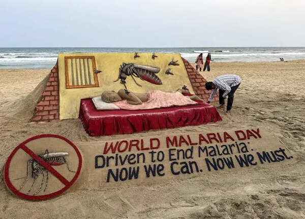 Why is India still struggling to end malaria?