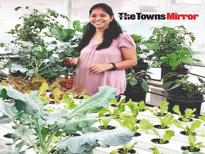 The Towns Mirror Special: Alternate roots: Jincy Samuel’s terrace garden grows plants without soil