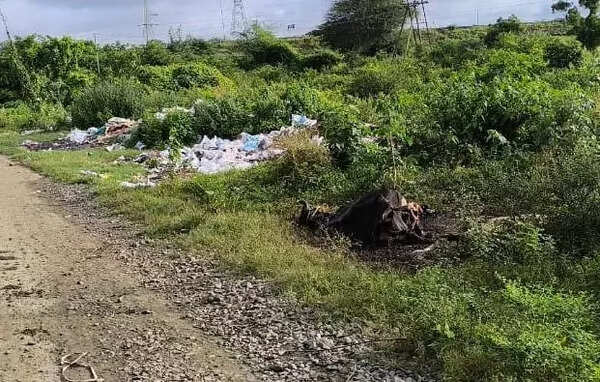 Threat to ecosystem as Heggeri Lake turns dumpyard for carcasses