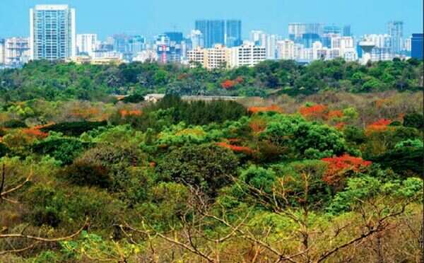 2 years before Metro shed plan, govt termed Aarey as forest in 2012