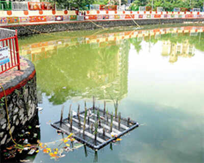 Vandals, thieves ruin plan to clean up Malad pond