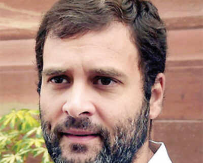 Rahul took ‘too long to emerge’: Book