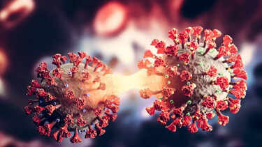 Covid XEC variant new symptoms 'wipe people out', says expert; know all about it