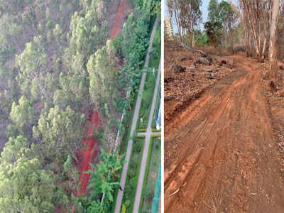 Karnataka Forest Department builds a path to keep a track on Turahalli forest