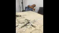 12 artists from Goa interpret Miranda&rsquo;s legacy in own style