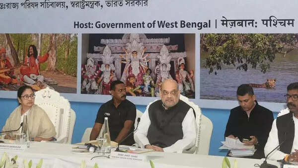 Amit Shah: Border security joint responsibility of states, BSF