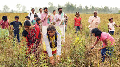 Toor de force in Ragi fields