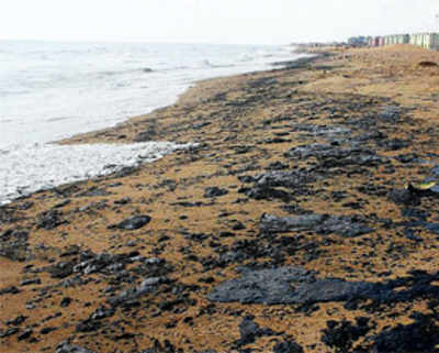 Boat crash oil spill soils Marina