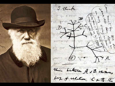 Charles Darwin’s notebooks stolen from Cambridge