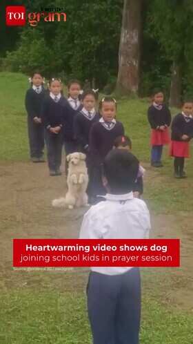 Dog Joins School Prayer, Wins Hearts Online