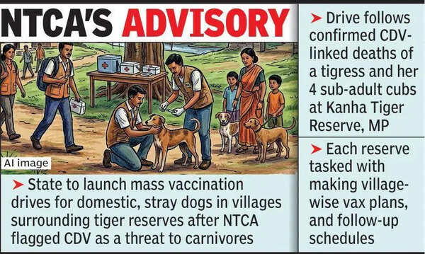 Maha orders dog vaccination drive around tiger reserves